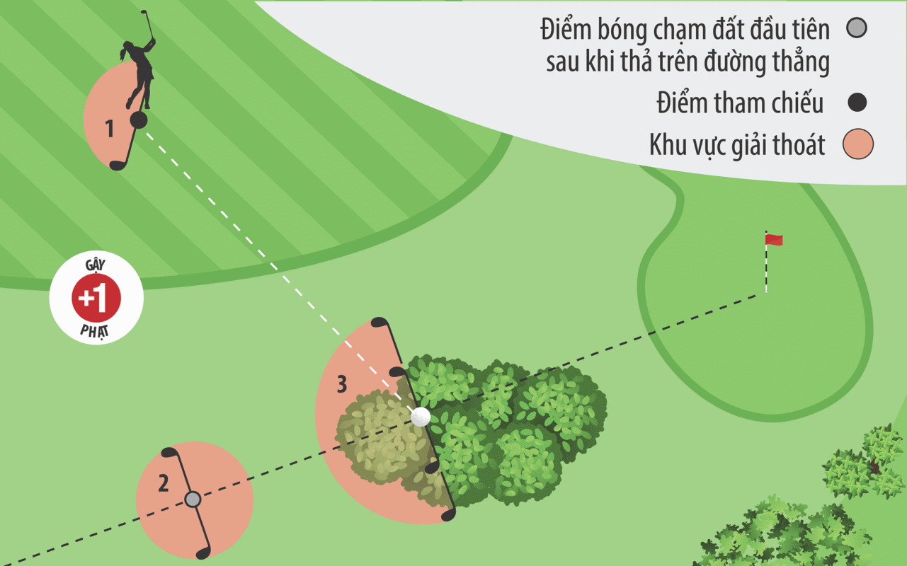24 Luật Golf Cơ Bản Bạn Cần Biết Khi Tìm Hiểu và Chơi Golf Luật golf cách giải thoát bóng không đánh được trong khu vực chung