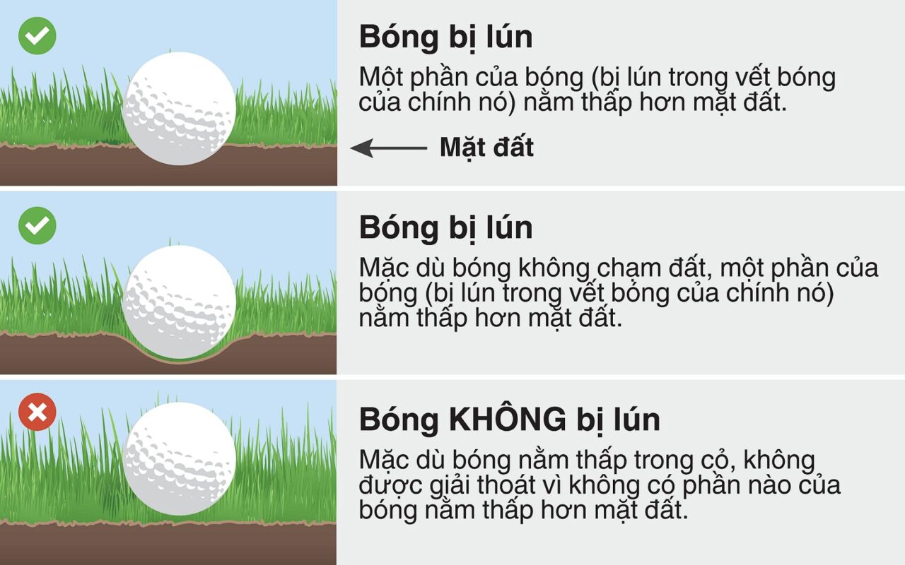 24 Luật Golf Cơ Bản Bạn Cần Biết Khi Tìm Hiểu và Chơi Golf Luật golf bóng lún