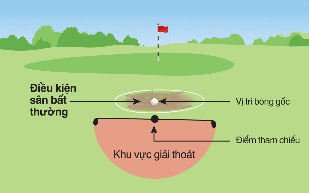 24 Luật Golf Cơ Bản Bạn Cần Biết Khi Tìm Hiểu và Chơi Golf Giải thoát bóng khỏi điều kiện sân bất thường