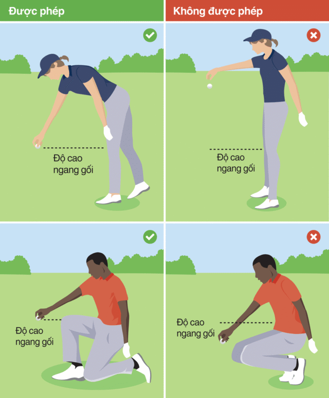 24 Luật Golf Cơ Bản Bạn Cần Biết Khi Tìm Hiểu và Chơi Golf Luật golf thả bóng