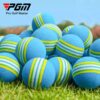 Ảnh sản phẩm số 6 bóng golf xốp tập trong nhà PGM