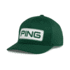Ảnh sản phẩm số 1 heritage tour snapback green Ping