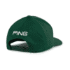 Ảnh sản phẩm số 2 heritage tour snapback green Ping