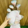 ảnh sản phẩm số 14 bộ gậy golf nữ fullset honma sakura dance 2 nhật bản golfxanh